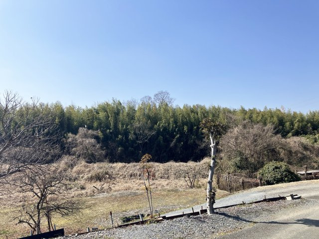 眺望良好です。