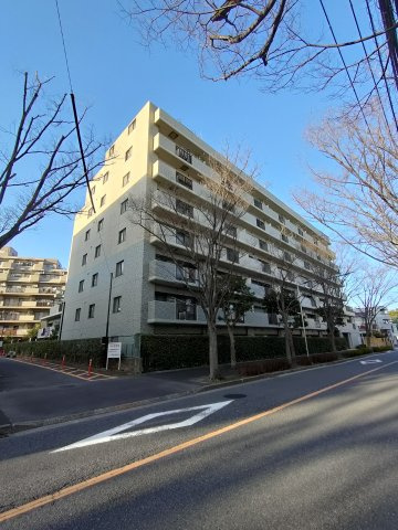 外観：313004562078