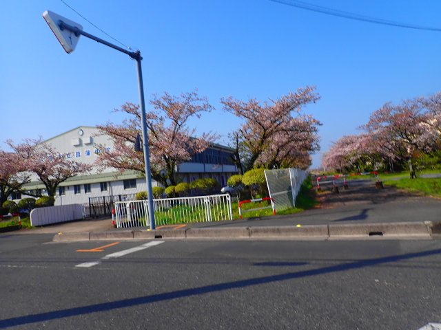 菖蒲中学校（徒歩29分）　