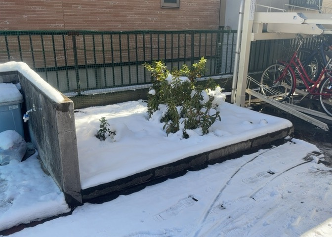 中庭（パティオ）とは、一つの建築物の内部に設けられた、壁などで囲われている庭のことを指します。コの字型、ロの字型が主流ですが、L字型の中庭もあります。最近では、インテリア性の高さからも人気があります。