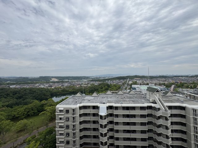 展望