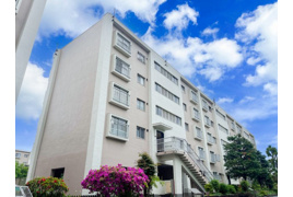 多摩川住宅ト棟の外観