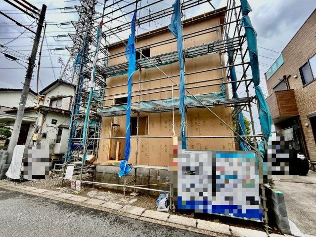 2026年6月下旬撮影