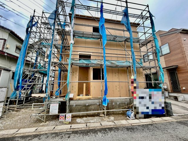 2026年6月下旬撮影