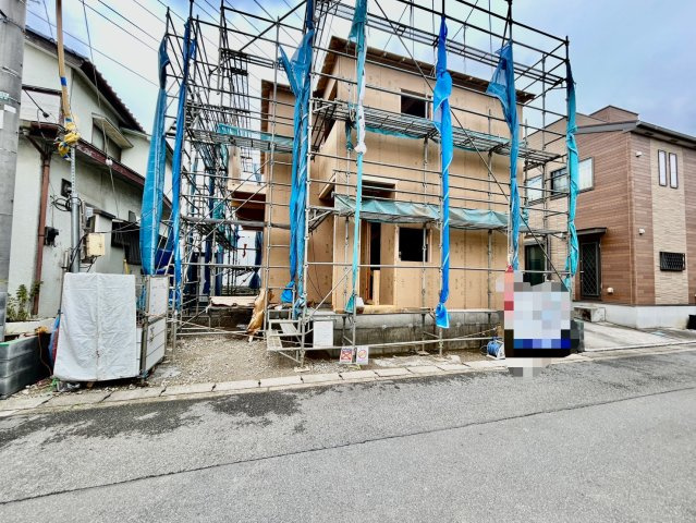 2026年6月下旬撮影