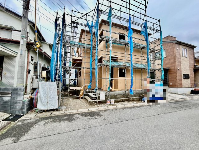 2026年6月下旬撮影