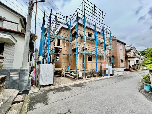 2026年6月下旬撮影