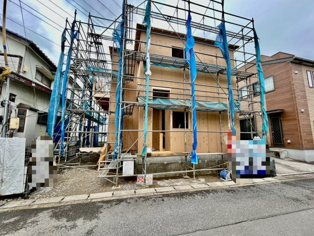 2026年6月下旬撮影