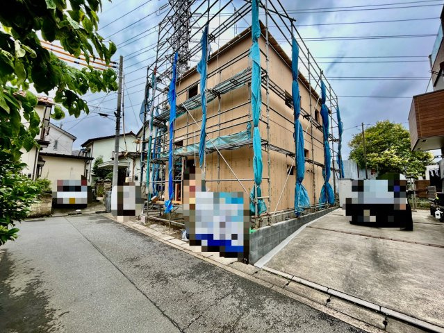 2026年6月下旬撮影