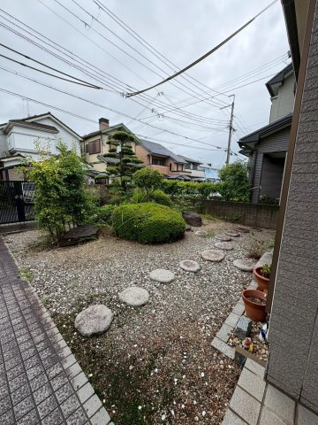 庭