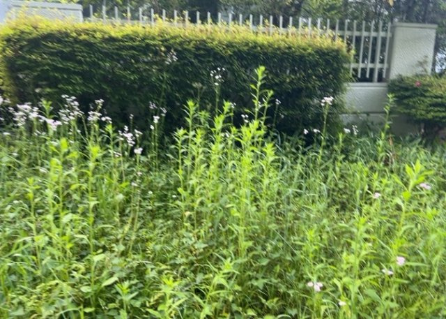 マンションの駐輪場は、事前に空きがあるか確認を取ると安心です。せっかく入居したのに駐輪スペースがない！なんてことになったら大変ですよね。そこで、内見時や購入前にはまず事前に確認しておくと良いでしょう。