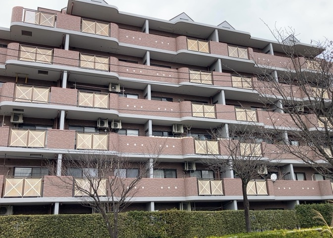 外観：313004531089