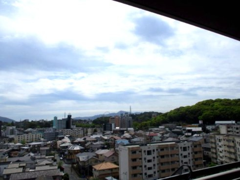 展望