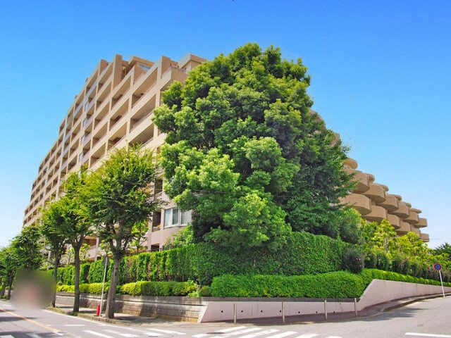 外観：312001293537