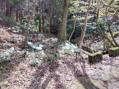 約120坪あり広々としています。自由な間取りでお家が建てられます。駐車場を広く取る事も可能です。