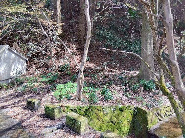閑静な住宅地に位置しています。車通りが少なく騒音も気にならない穏やかな環境です。緑豊かな場所にあります。自然を身近に感じる事が出来ます。