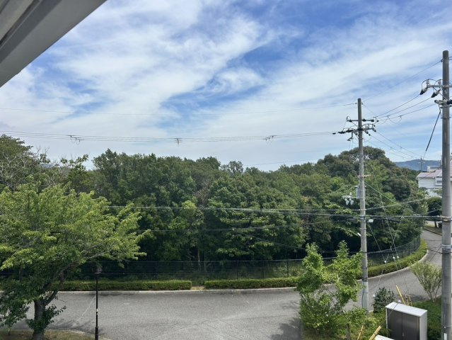 展望