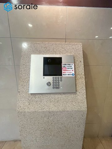 2026/5/21撮影