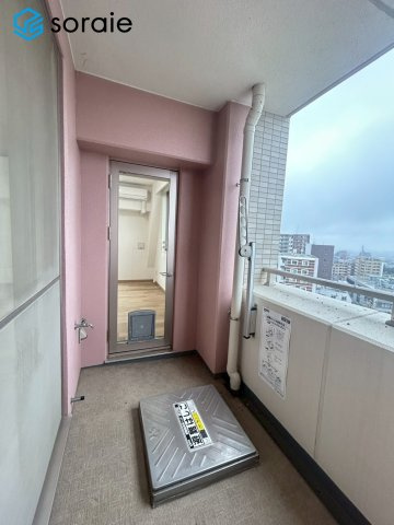2026/5/21撮影