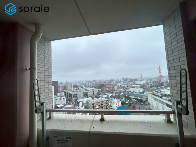 2026/5/21撮影