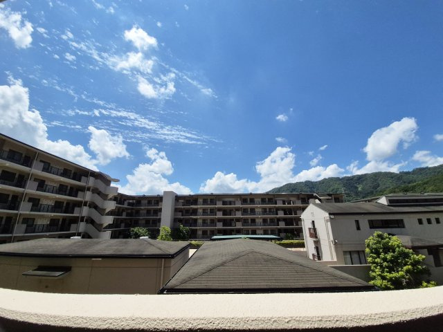 展望