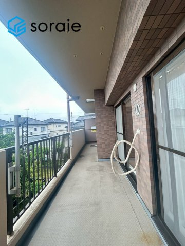 5/21撮影