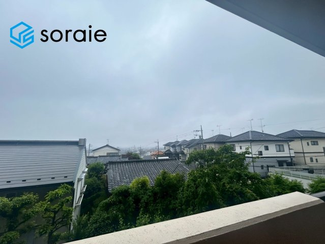 5/21撮影