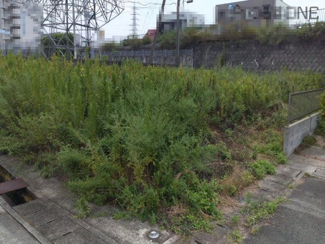 外観：328000548753