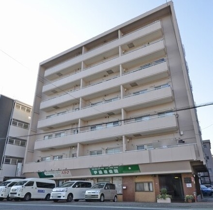 外観：313004847448