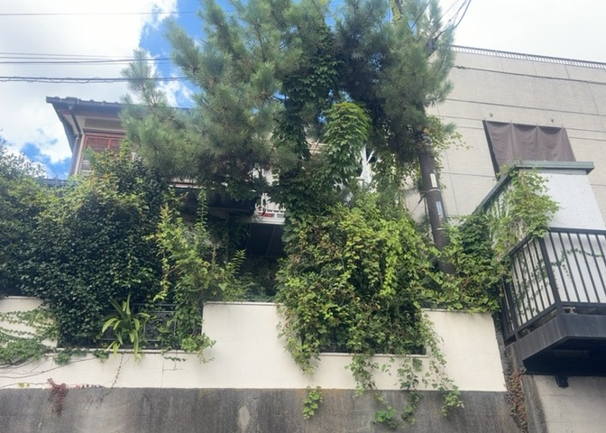 バルコニーは、室外の専用スペースのうち、「屋根がなく開放された空間」であるものを指します。ベランダより広いタイプのものが多く、日当たりもよいため家庭菜園などを楽しみたい人にとって適した環境となります。