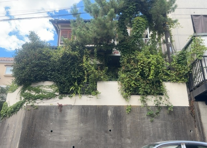 外観：314002817547