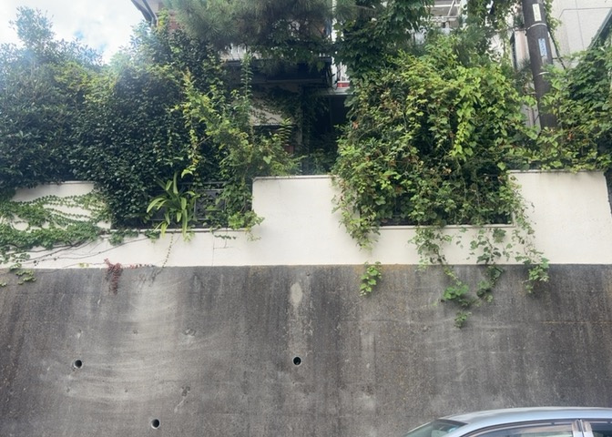 庭のある家に住むことのメリットとして、子どもたちの遊び場を確保できること、ガーデニングや家庭菜園を楽しめること、明るさを確保できることがあります。また、配置を工夫することでプライバシーが確保できます。