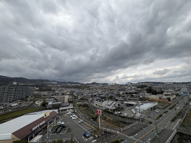 展望