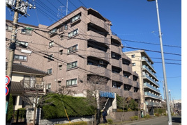 ライオンズガーデン相模大野の外観