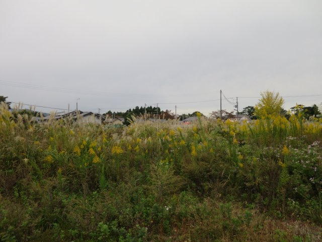 外観：307000077941