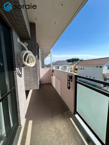 4/21撮影