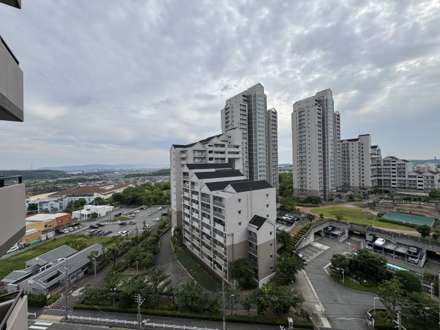 展望