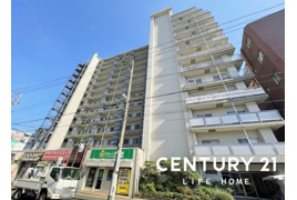 登戸ハイデンスの外観