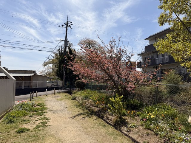 緑の多い住宅街。毎日のお散歩コースに困りません。