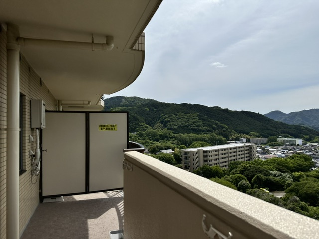 展望
