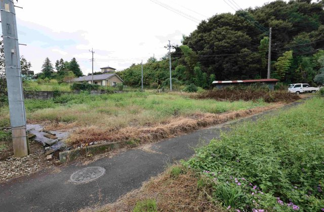 外観：311002218082