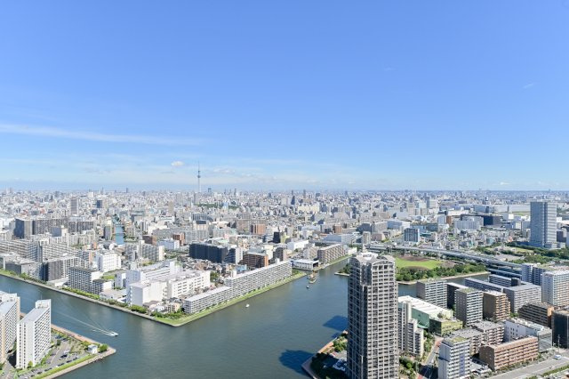 バルコニーからの眺望（北東側を望む）　スカイツリー方面です