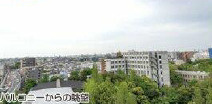 展望
