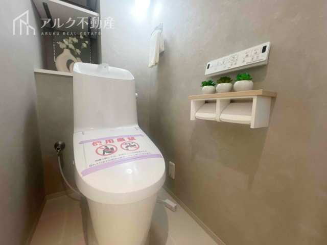 2026年6月撮影