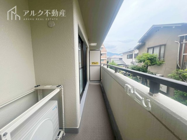 2026年6月撮影