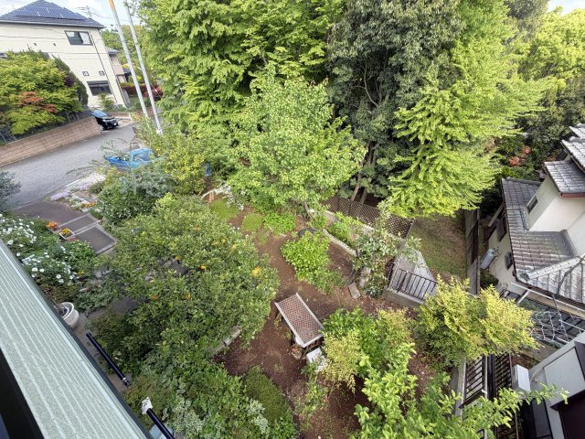 上から見たお庭です
