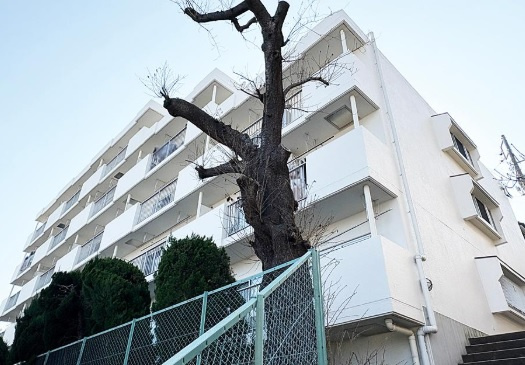 外観：314002700979