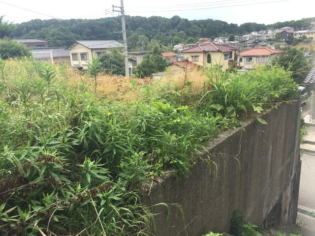 現地