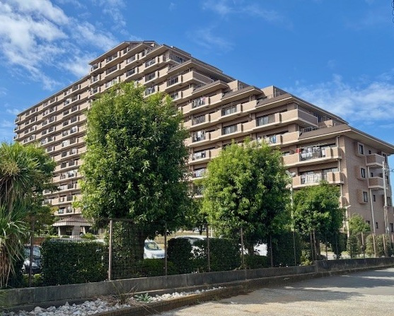 外観：312001206277