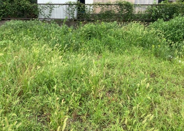 土地の形が極端に長細かったり、狭小地、あるいは道路との高低差がある傾斜地だった場合、後々売ろうとしても買い手がつかない場合もあります。後々、売却することになった時に価値の下がらない土地を選びましょう。
